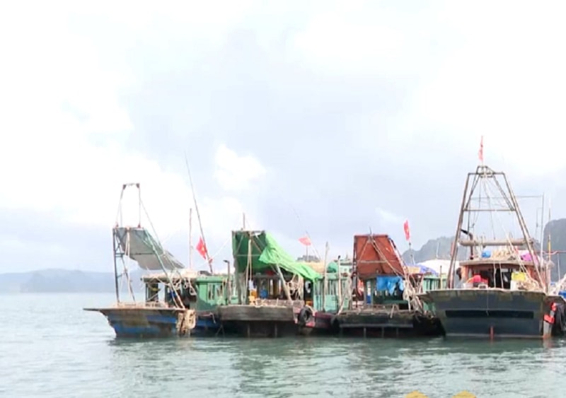 quang ninh no luc phong chong khai thac iuu 1