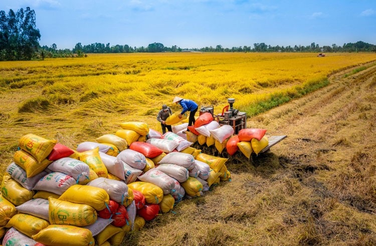 Thủy sản Việt Nam và hành trình ra biển lớn 3