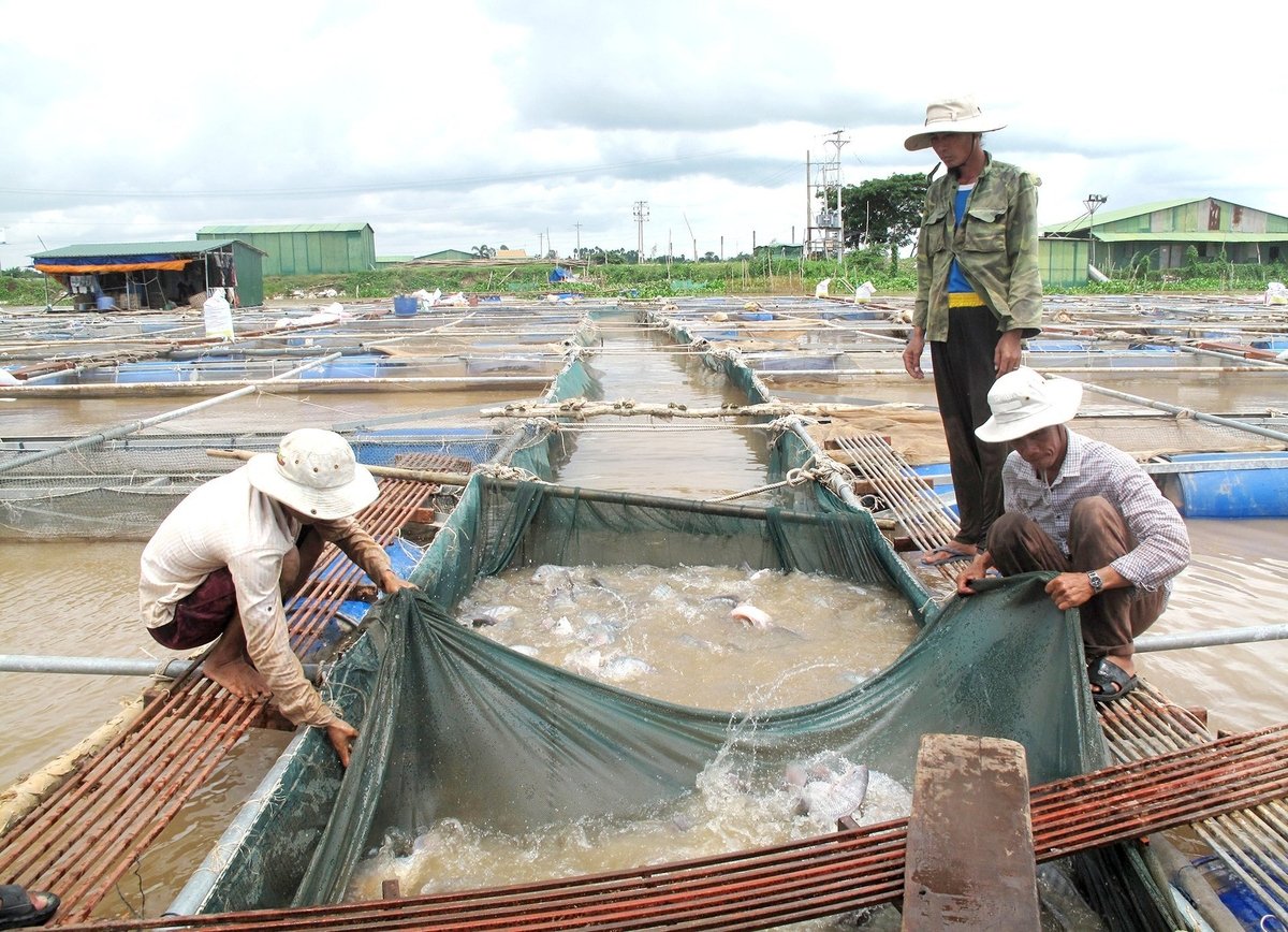 Cơ sở nuôi