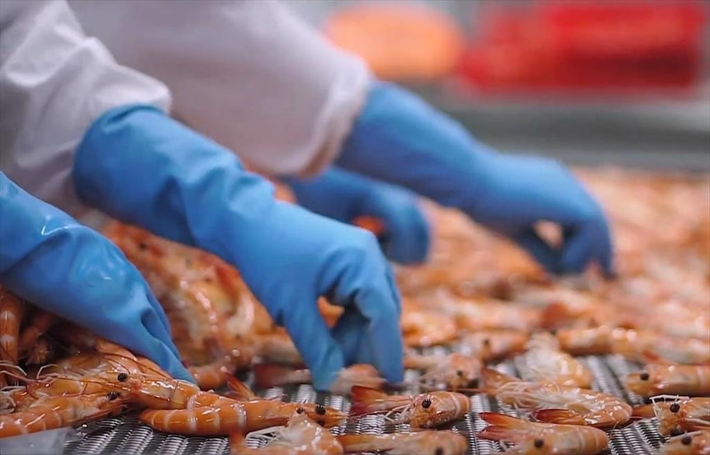 VinaFIS Expo 2026 Động lực mới cho ngành thủy sản vươn tầm toàn cầu 2