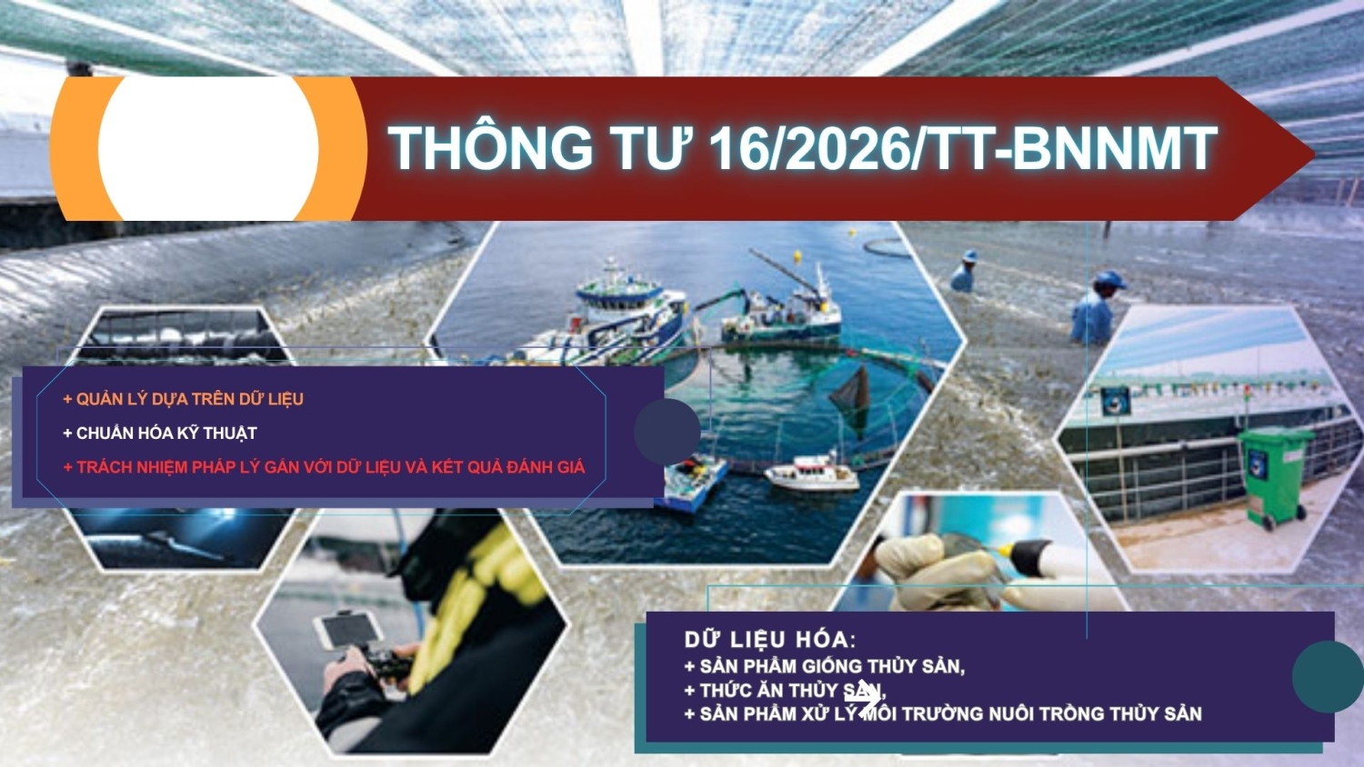 vinafis THONG TU 16 2026