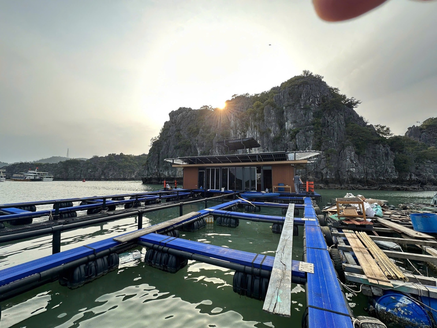 Nuôi, trồng thủy sản được xác định là hướng phát triển bền vững và hiệu quả thời gian tới Ảnh VGP Đỗ Hương