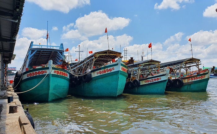 Ca mau tang toc go the vang iuu anh 1