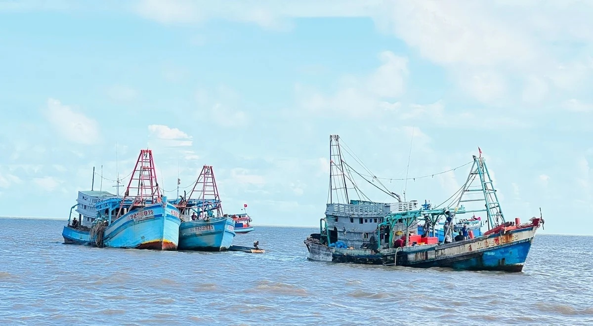 Ca mau tang toc go the vang iuu anh 2