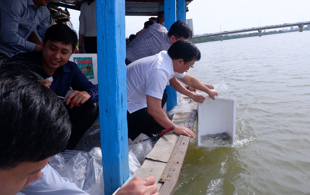 Thả hơn 100 000 con cá, tôm giống tái tạo nguồn lợi thủy sản ảnh 1