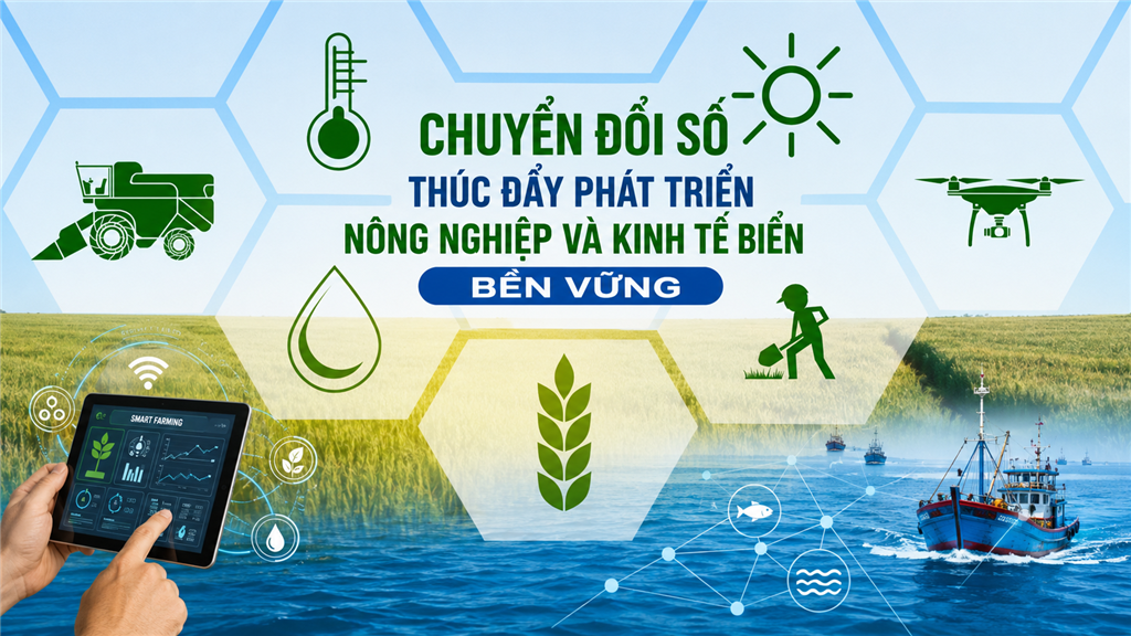 Ca Mau ban hanh De an chuyen doi so