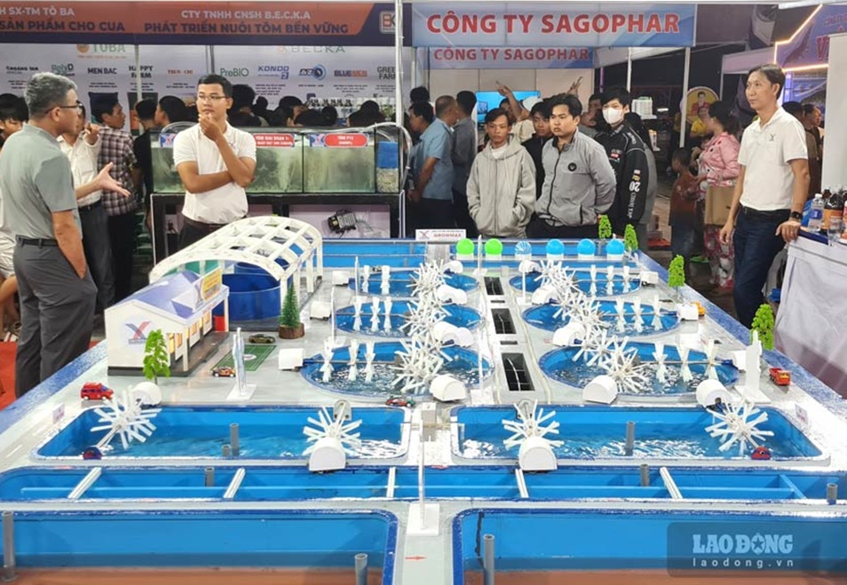 Doanh nghiệp thuỷ sản Cà Mau đẩy mạnh công nghệ, nâng giá trị con tôm