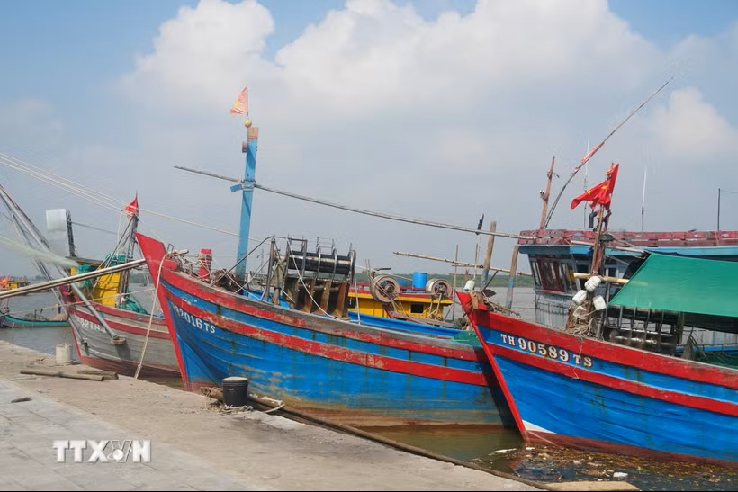 Số hóa quản lý tàu cá, minh bạch nguồn gốc thủy sản