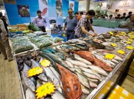 Triển lãm Thủy sản Quốc tế Trung Quốc (Phúc Châu) lần thứ 18 - Vươn tầm ngành Thủy sản